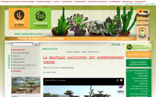 cactus-story.com website preview