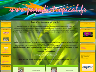 paradistropical.fr website preview
