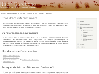 nadir.fr website preview