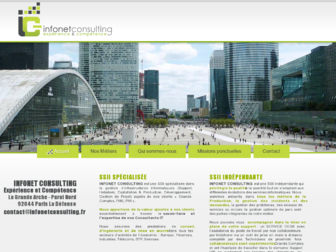 infonet-consulting.fr website preview