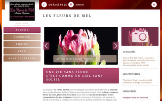 les-fleurs-de-mel-jeumont.fr website preview