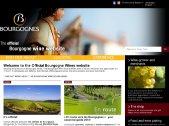 vins-bourgogne.fr website preview