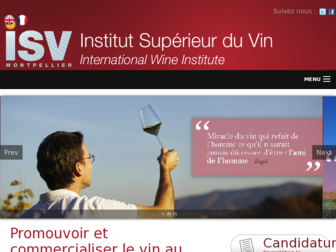 isvin.fr website preview