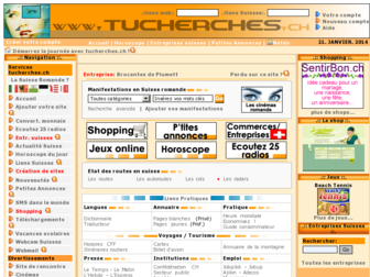 tucherches.ch website preview