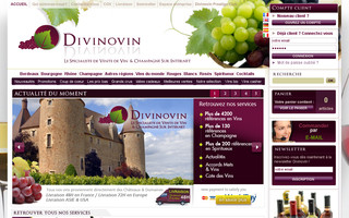 divinovin.fr website preview