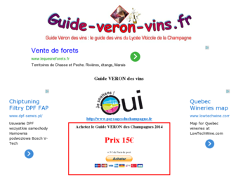 guide-veron-vins.fr website preview