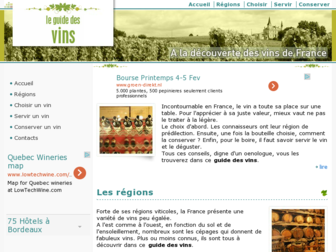 vin.ptitbout.com website preview