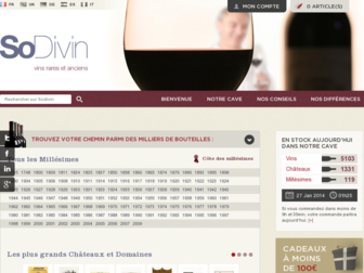 sodivin.fr website preview