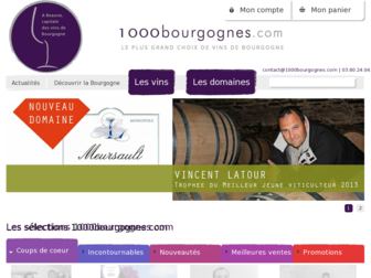 1000bourgognes.com website preview