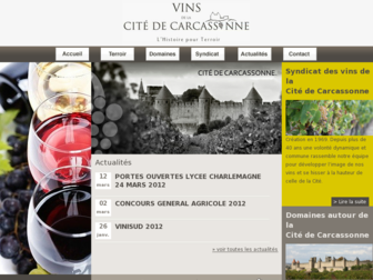vins-citedecarcassonne.com website preview