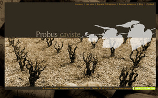 probus.fr website preview