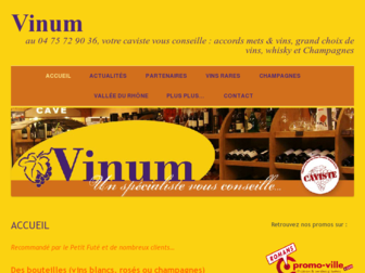 vinumcaviste.com website preview