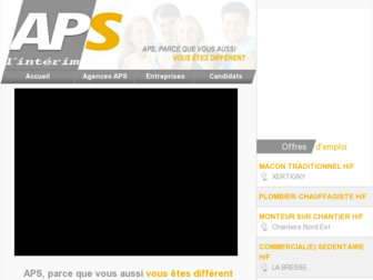 aps-interim.com website preview
