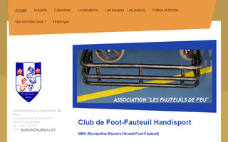 fauteuilsdefeu.fr website preview