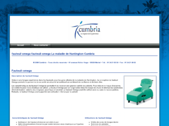fauteuil-omega.com website preview