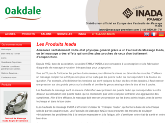 inada.fr website preview