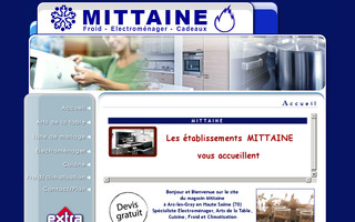 ets-mittaine.com website preview