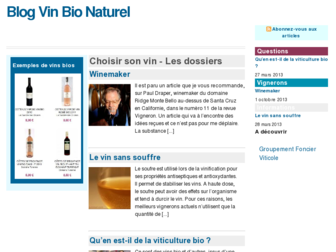 blog-vinbionaturel.fr website preview