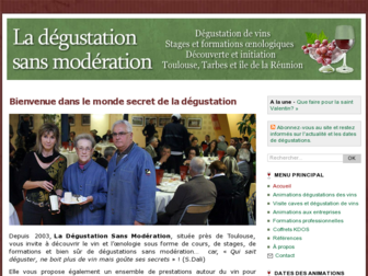 degustation-vin-toulouse.fr website preview
