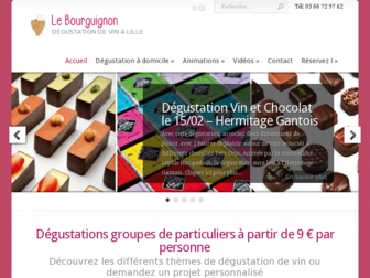 degustation-vin-lille.fr website preview