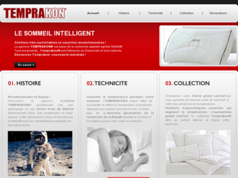 temprakon.fr website preview
