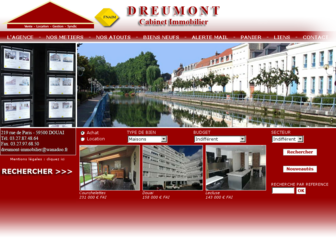 dreumont-immobilier.fr website preview