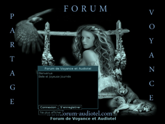 forum-audiotel.com website preview