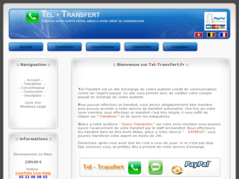 tel-transfert.fr website preview