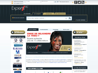 experts-recrutement.fr website preview