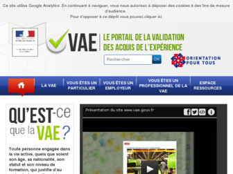 vae.gouv.fr website preview