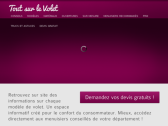 toutsurle-volet.com website preview