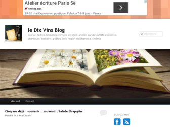 ledixvinsblog.fr website preview