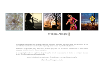 williamallegre.com website preview