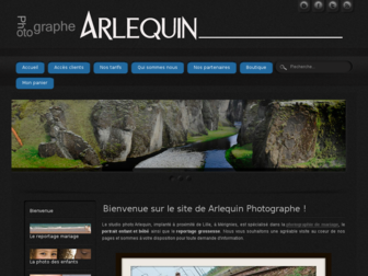 arlequin-studio.com website preview
