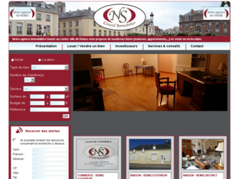 ns-immobilier.fr website preview