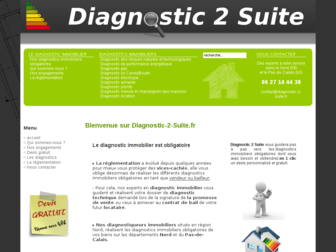 diagnostic-2-suite.fr website preview