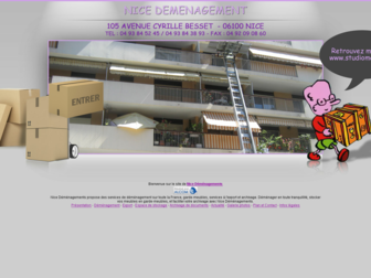 nice-demenagements.fr website preview