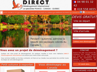 directdemenagement.com website preview