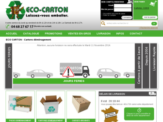ecocarton.fr website preview
