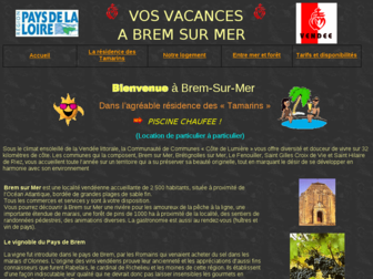 locations-vacances-vendee.fr website preview