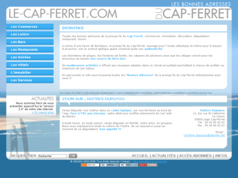 le-cap-ferret.com website preview
