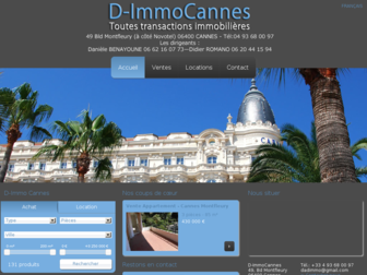dimmocannes.com website preview