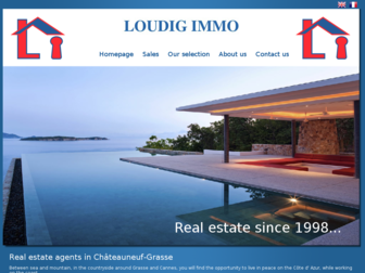 loudig-immo.com website preview