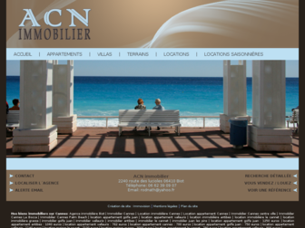 acn-immobilier.com website preview
