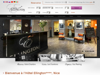 ellington-nice.com website preview
