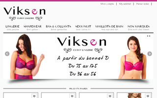 viksen.fr website preview