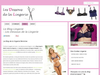 les-dessous-de-la-lingerie.fr website preview