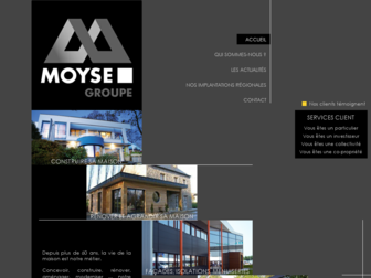 moyse.fr website preview