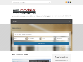 immobilier-am.fr website preview