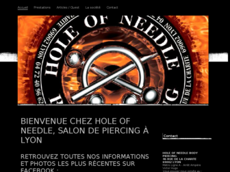 hole-of-needle.com website preview